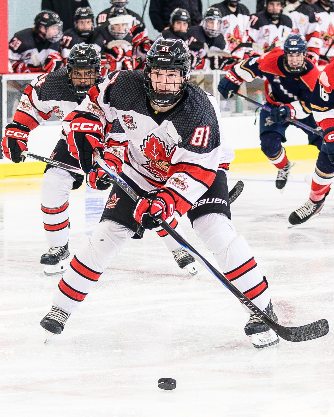 A Niagara Falls Canucks forward carries the puck during an Ontario Junior Hockey League game, September 28, 2025. (Photo by OJHL Images)